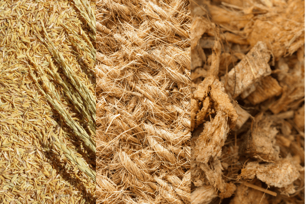 Materiais de Construção Derivados de Resíduos Agrícolas para Estruturas Modulares Sustentáveis em Edifícios Comerciais de Baixo Impacto Ambiental