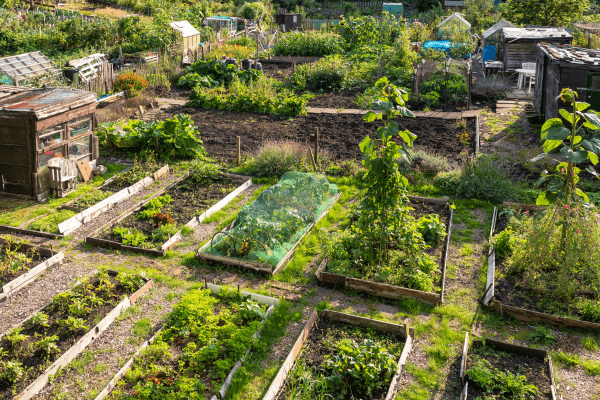Hortas Urbanas Sustentáveis e Como Integrar Soluções de Cultivo Ecológico em Projetos de Construção para Aproveitar Espaços na Cidade
