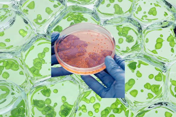 Biotecnologia e Reciclagem Como Enzimas e Bactérias Estão Limpando Resíduos Industriais de Forma Inovadora